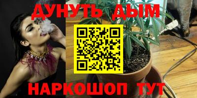 Альфа ПВП Краснознаменск