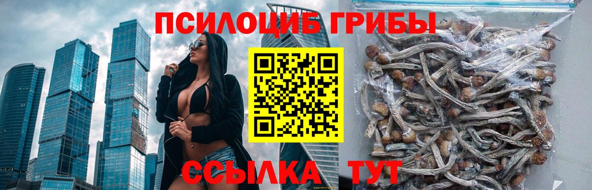 Псилоцибиновые грибы ЛСД  Вход с VPN  Фролово  Галлюциногенные грибы ЛСД 
